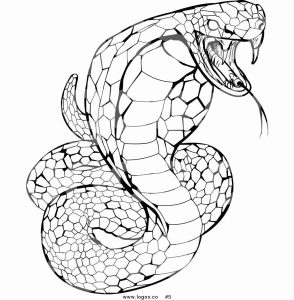 Snake Coloring Pages Realistic Bowstomatch