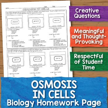 Osmosis Worksheet Answers Pdf
