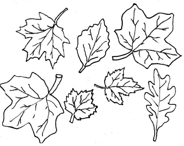 Coloring Pages Fall Leaves