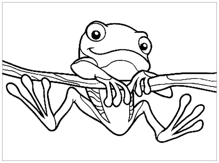 Frog Coloring Pages Free Printable