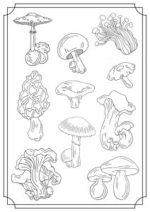 Mushrooms for kids Mushrooms Kids Coloring Pages