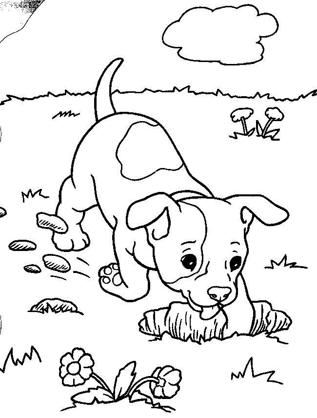 Coloring Pages of Puppies 321 Coloring Pages