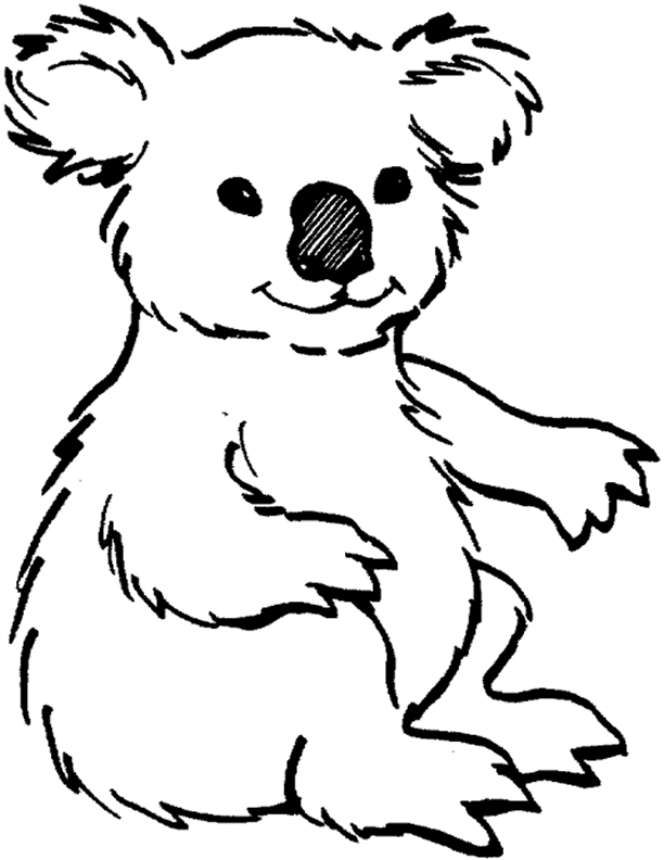 Koala Coloring Pages Easy