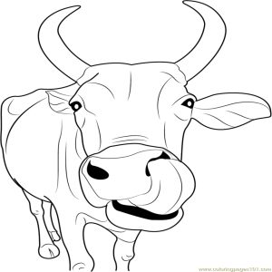 Dairy Cow Coloring Pages at Free printable colorings