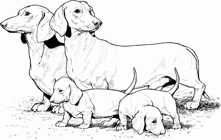 Coloring Pages Dogs Free