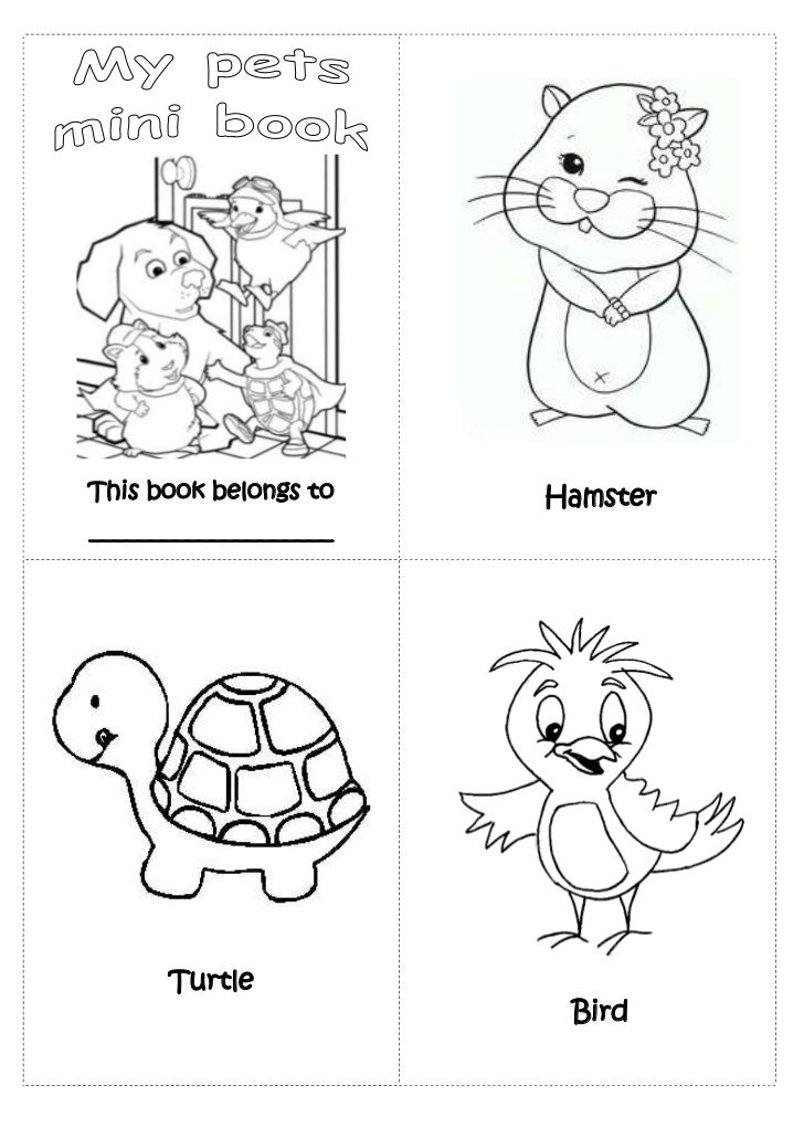 Preschool Pets Worksheets Printables