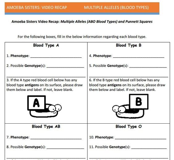 Multiple Alleles Blood Type Worksheet Answer Key