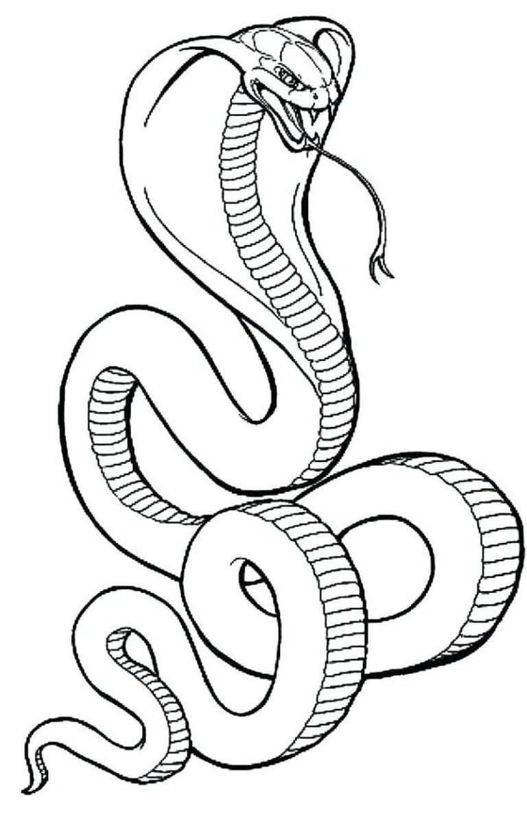 Snake Coloring Pages Pdf