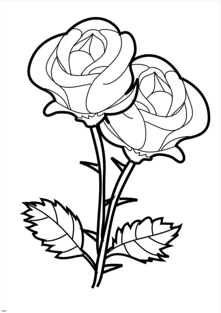 Rose Coloring Pages Easy