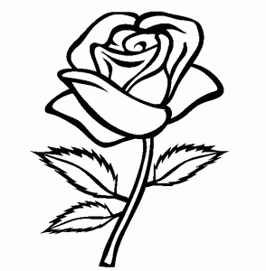 would have it coloured in though/ Rose coloring pages, Flower sketch