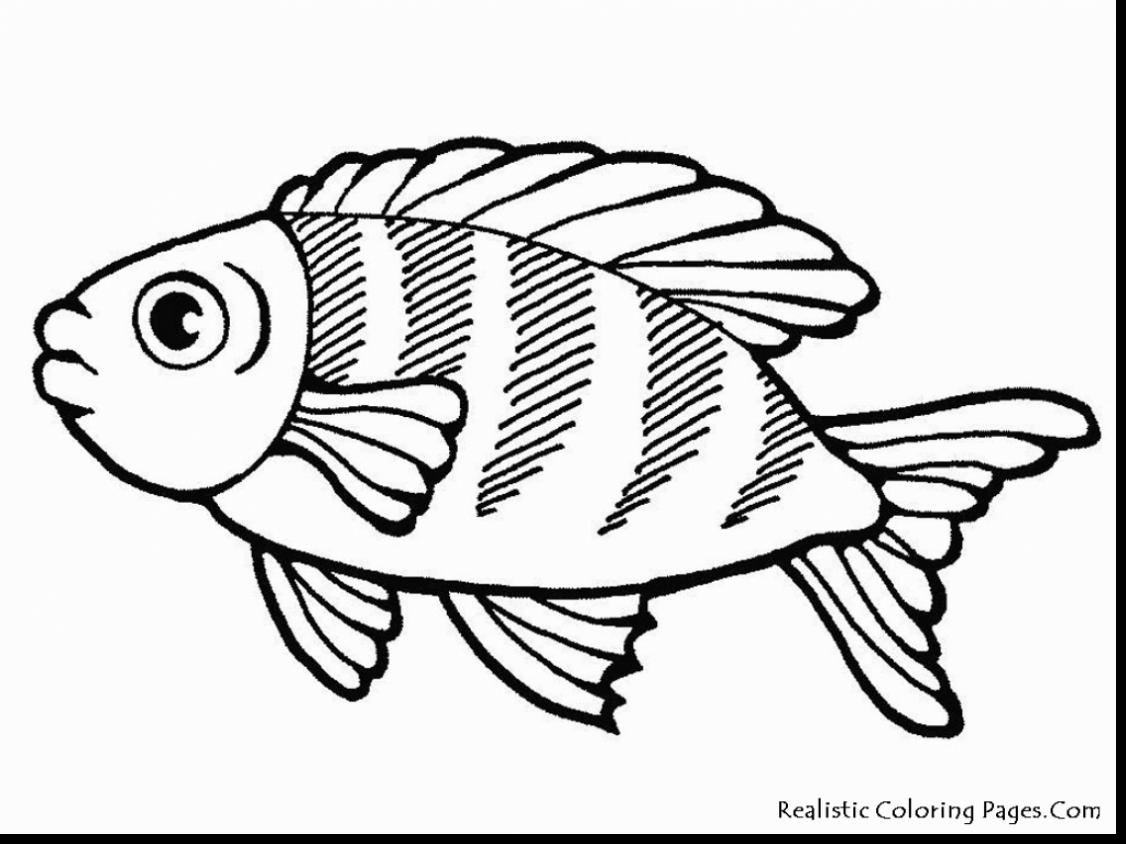 Fishing Coloring Pages Pdf