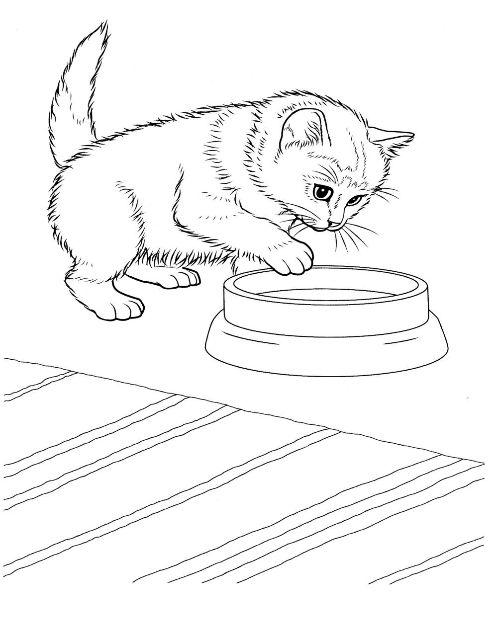 Free Printable Kitten Coloring Pages For Kids Best Coloring Pages For