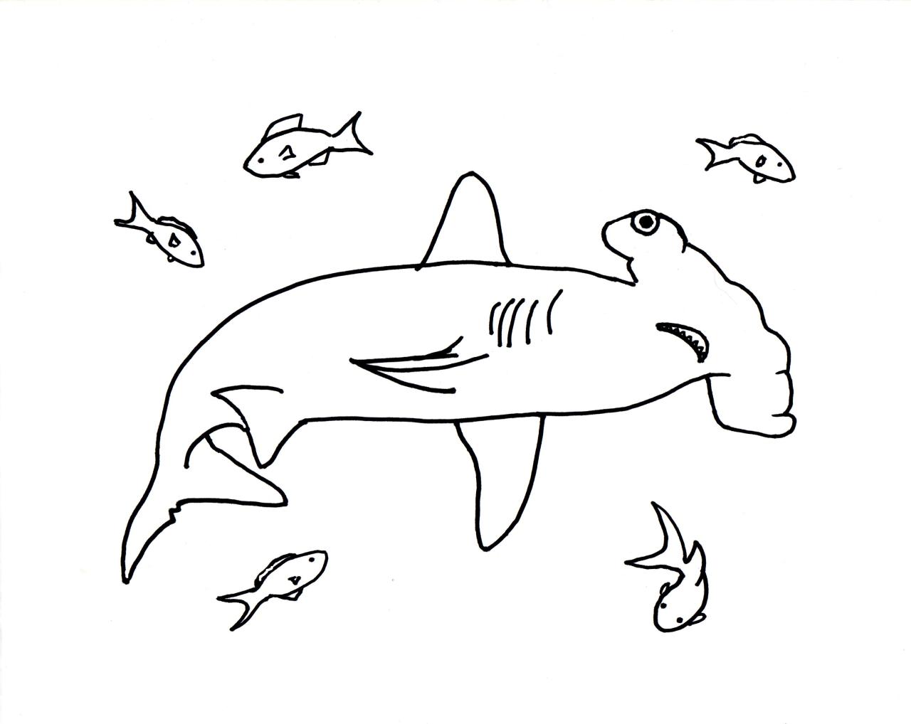 Shark Coloring Pages Easy