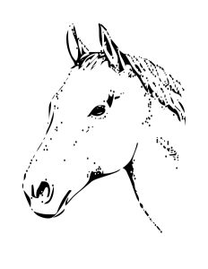 Free Printable Horse Head Coloring Pages Food Ideas