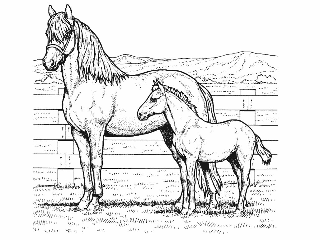 Horse coloring pages for kids Coloring Pages For Kids