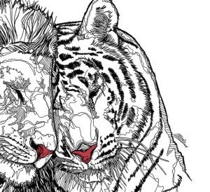 Drawing Lion And Tiger