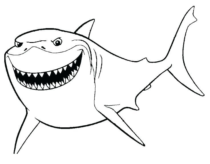 Beautiful Coloring Pages Shark Free Picolour