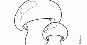 Aesthetic Coloring Pages Mushroom / Pin on Mushrooms Toadstools