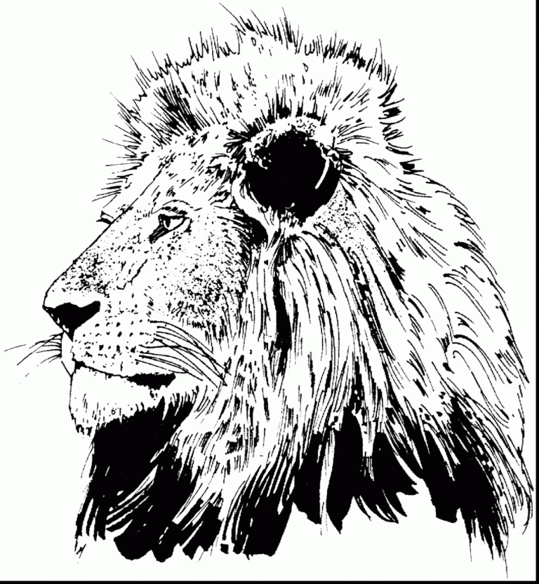 Coloring Pages Lion Head