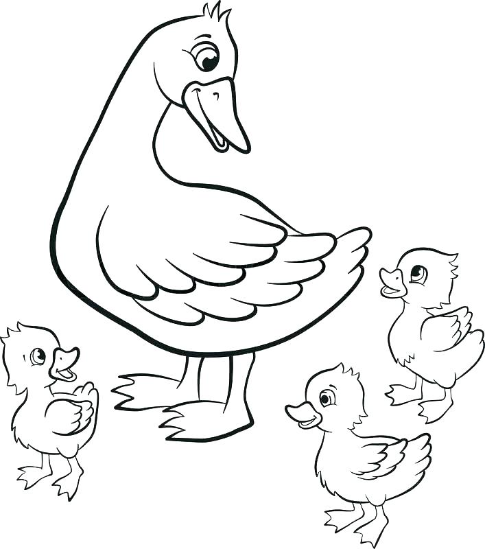 Mallard Duck Coloring Pages at Free printable