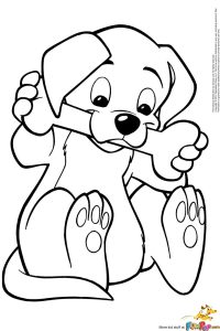 Pomeranian Puppy Coloring Pages at Free printable