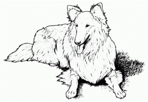Realistic Dog Coloring Pages