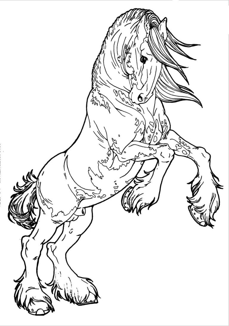 Coloring Pages Horses Realistic