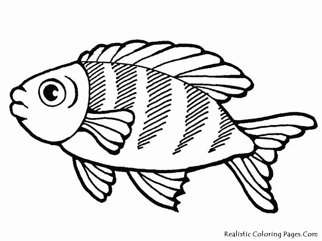 Coloring Pages Fish Ocean