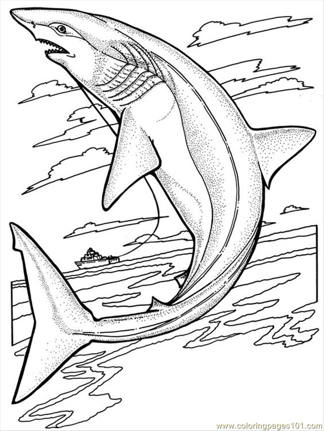 Sharks Coloring Pages Pdf