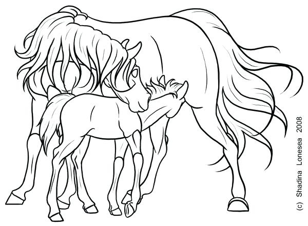 Coloring Pages Of Horses And Foals