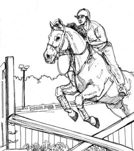 Show Jumping Horse Coloring Pages at Free printable