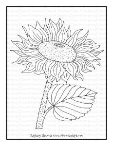 Sunflower Free Printable Coloring Page Color with Steph