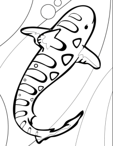 Tiger Shark coloring page & book for kids.