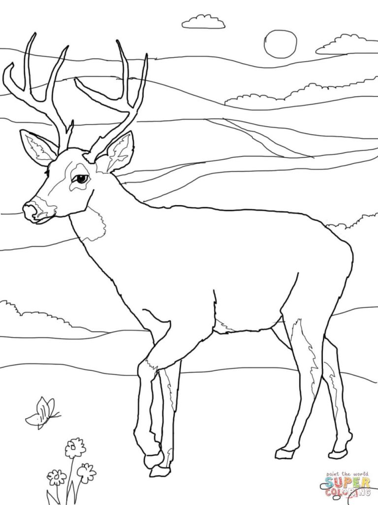 Deer Coloring Pages Easy