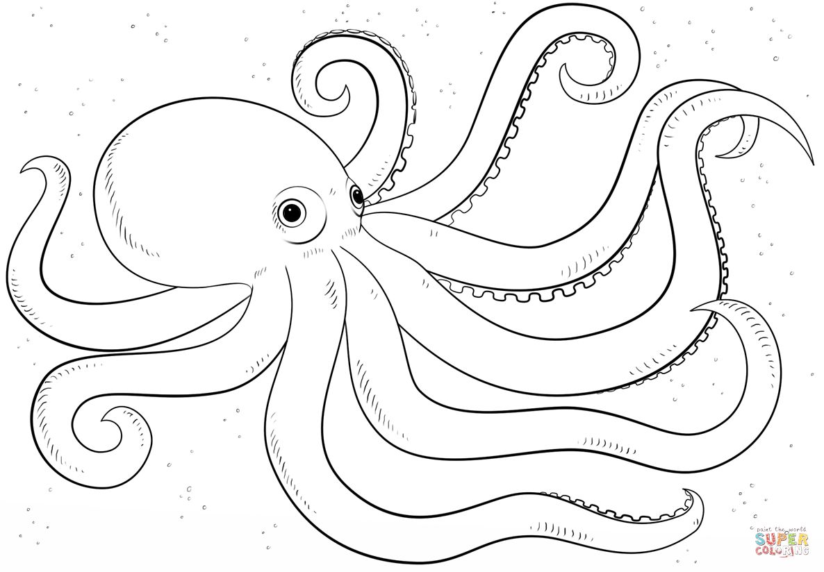 Cartoon Octopus Coloring Page Free Printable Coloring Pages