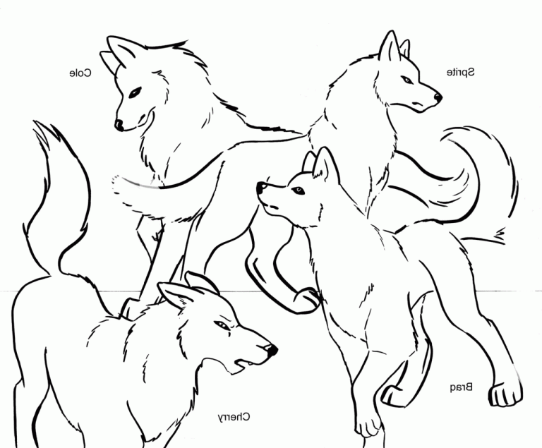 Coloring Pages Of Baby Wolves