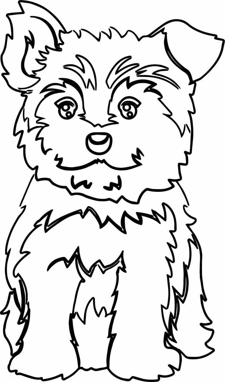 Yorkie Coloring Pages at Free printable colorings