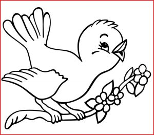 Free Bird Coloring Pages For Your Kids Bird coloring pages, Spring