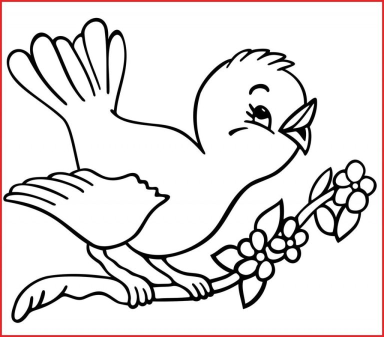 Coloring Pages Of Birds For Kindergarten