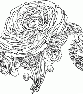 Beautiful Printable Flowers Coloring Pages