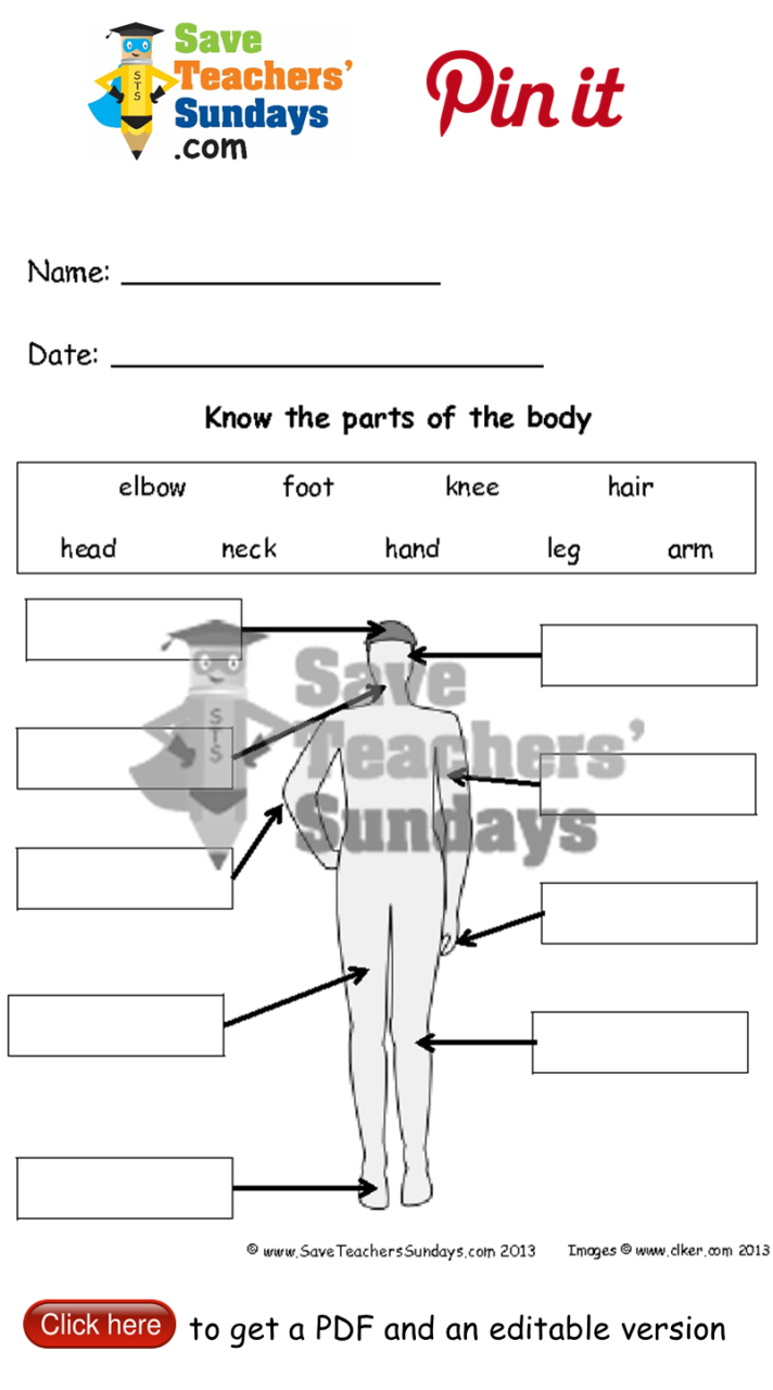 Science Worksheets For Grade 2 Human Body Pdf