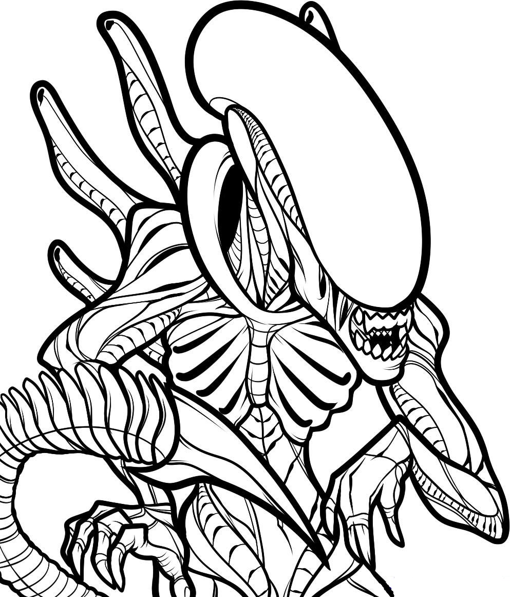 November Coloring Pages Pdf