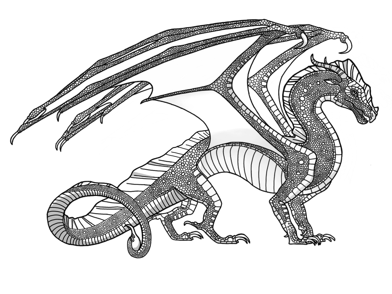 Hybrid Wings Of Fire Dragon Coloring Pages / Fire breathing dragon