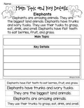 Main Idea And Supporting Details Worksheets 4th Grade Pdf
