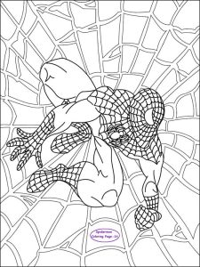 Spiderman coloring page for kids 14