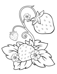 Strawberry Shortcake 22 Fruit coloring pages
