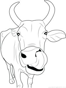Highland Cattle coloring baby 4 Cow illustration, Cow coloring pages