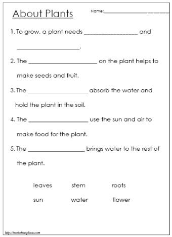 Worksheet For Class 2 Evs Plants