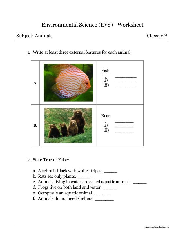 Evs Worksheet For Class 2nd