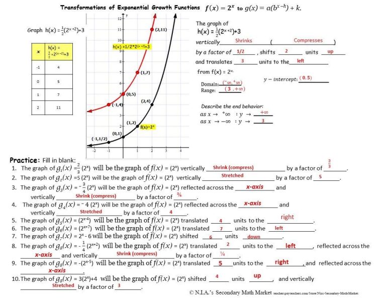 Transformations Of Exponential Functions Worksheet Answers
